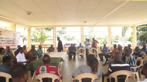 ave zolo sensitization 23