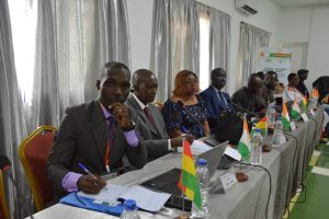 Implementation of the ITLOS Ruling on the Maritime Boundaries between Ghana and Côte d'Ivoire - 17 May 2023 cross section of committee at grand bassam 23