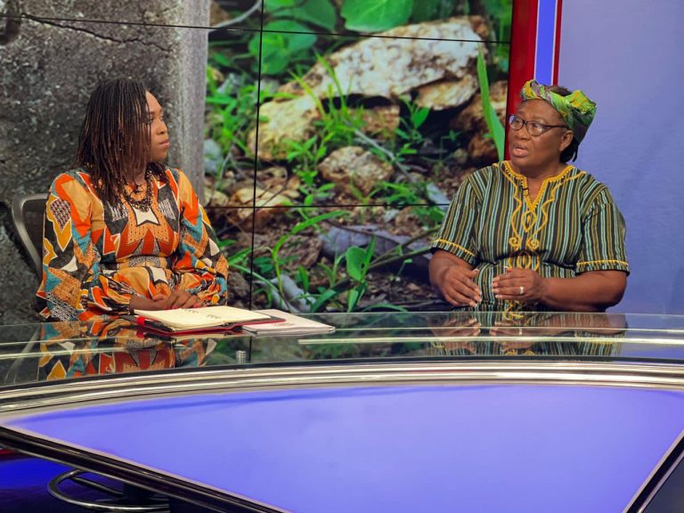 border day at joy 24