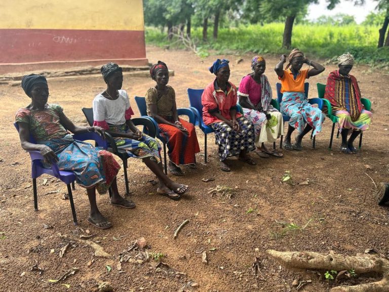 participants in the savannah